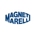 magneti